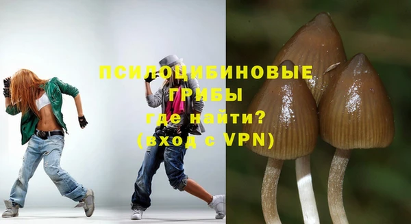 гашик Беломорск