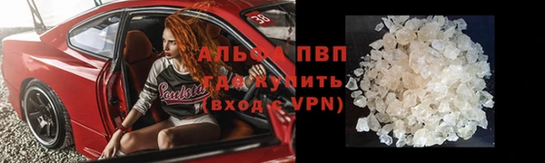 ГАЛЛЮЦИНОГЕННЫЕ ГРИБЫ Ростов
