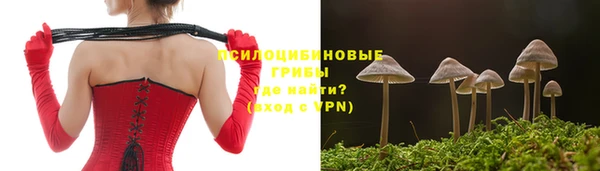 гашик Беломорск